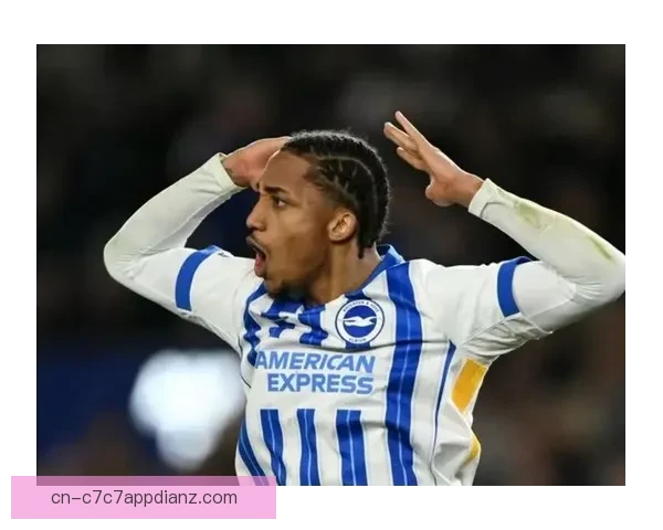 切尔西聘布莱顿门将任临时教练